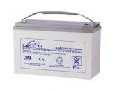 Leoch DJM 12100